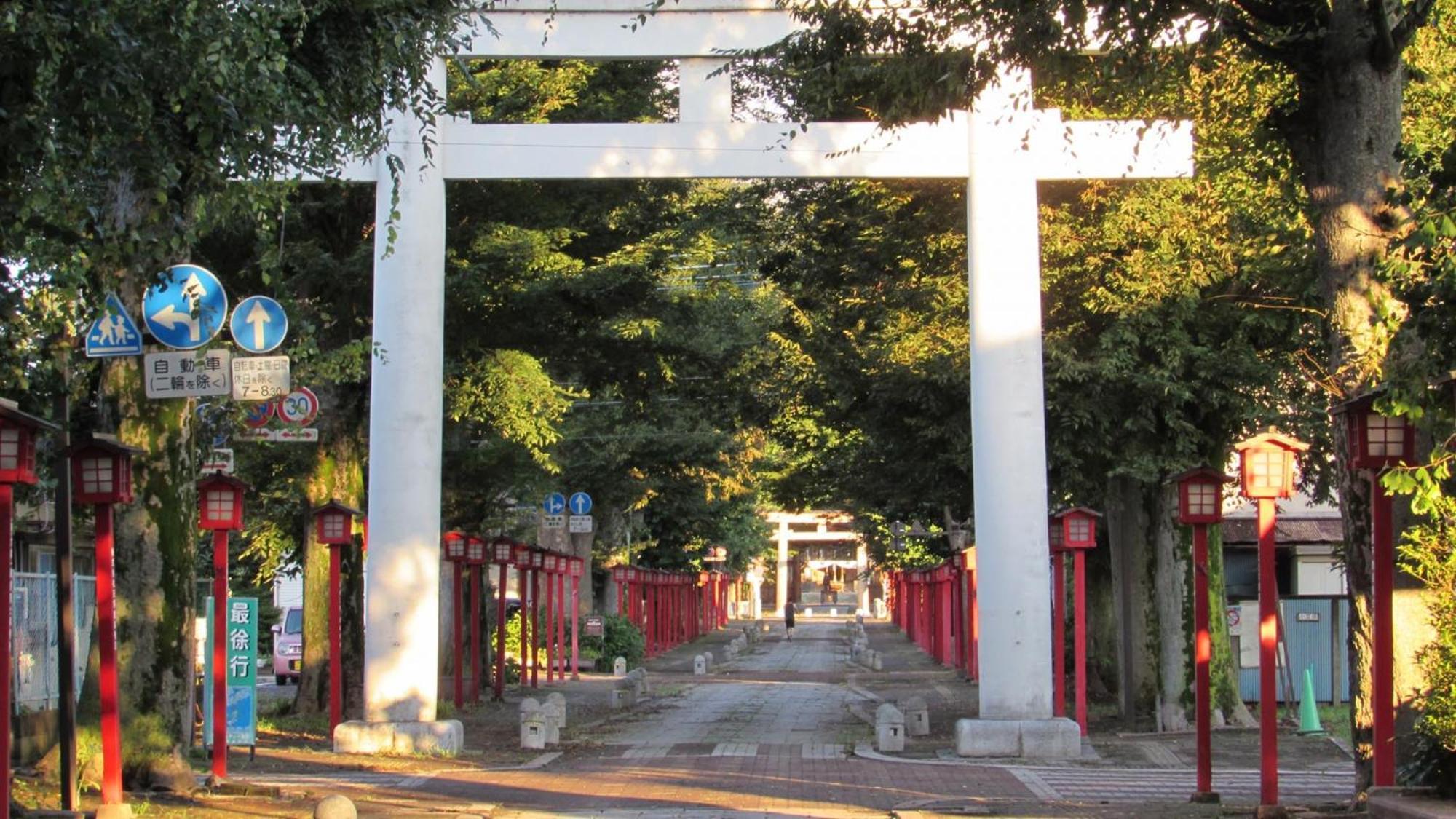 Toyoko Inn Oyama-Eki Higashi-Guchi No.2 Ояма Екстер'єр фото